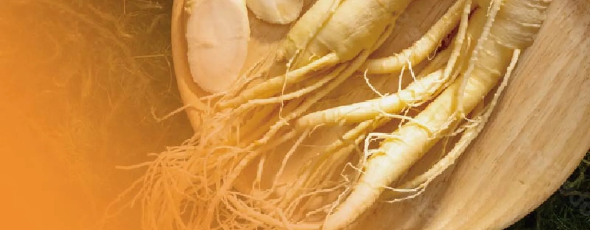 DHA藻油粉
