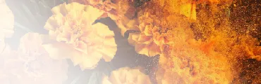 HERBALSHIELD™ 情境圖