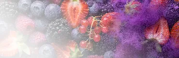 berriessence™ 情境圖