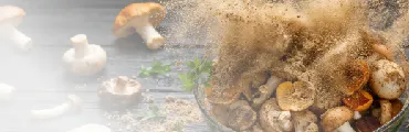 InstaKOMBU™ 情境圖