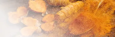 UltimateMushroom™ 情境圖