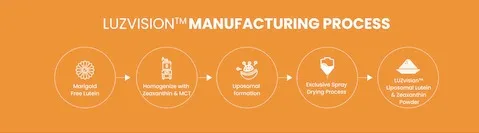 InstaKOMBU™ 低溫纖維包埋造粒製程示意圖